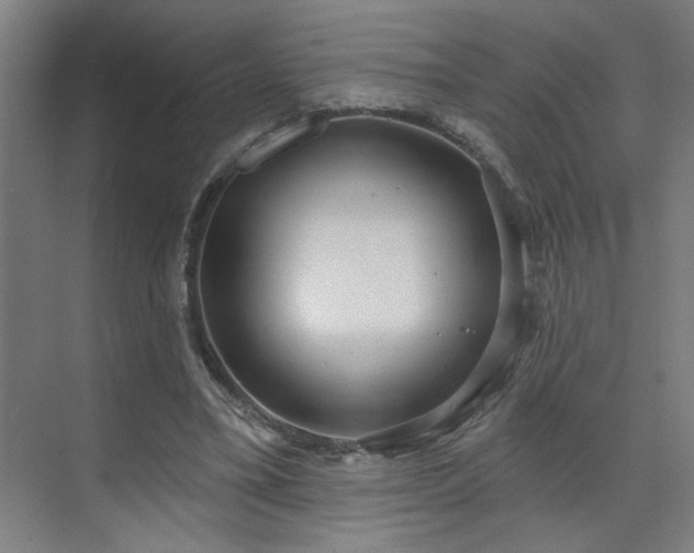 X0000071800395200606301206