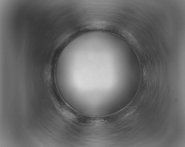 X0000071800396200606301206