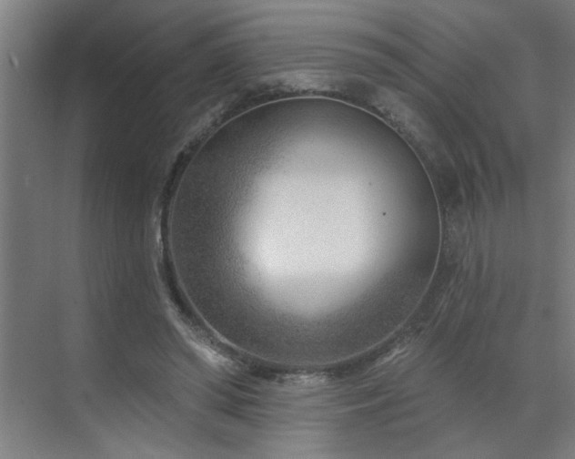 X0000071800398200606301206