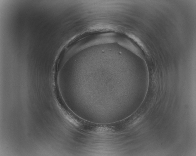 X0000071800399200606301206