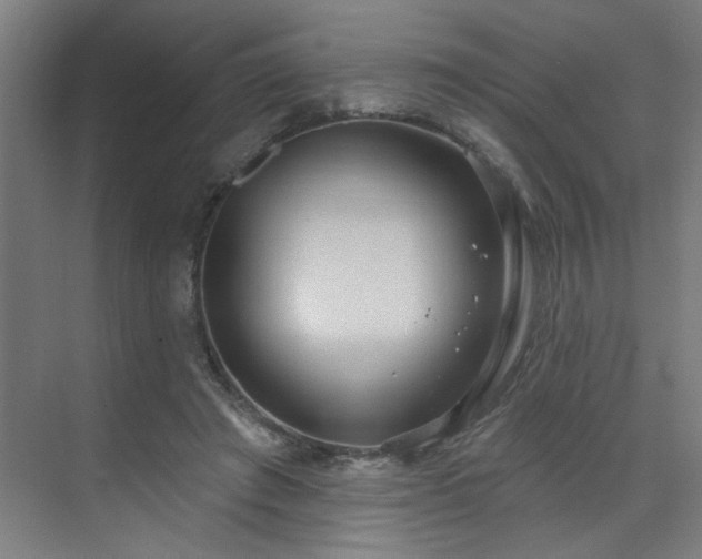 X0000071800401200606301206