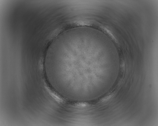 X0000071800402200606301206