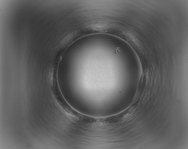 X0000071800404200606301206