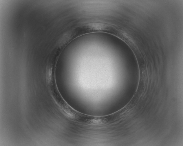 X0000071800406200606301206