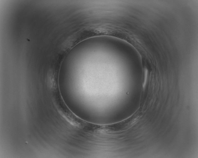 X0000071800408200606301206