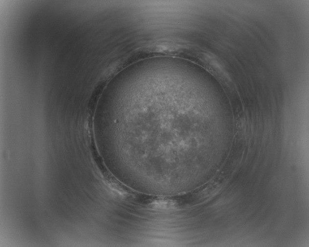 X0000071800415200606301206