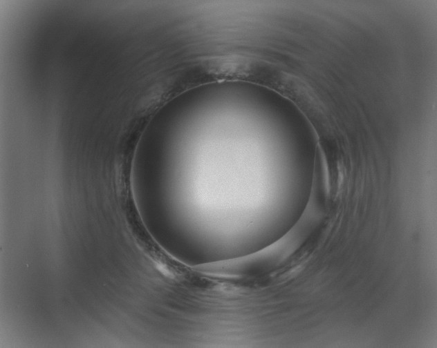 X0000071800416200606301206