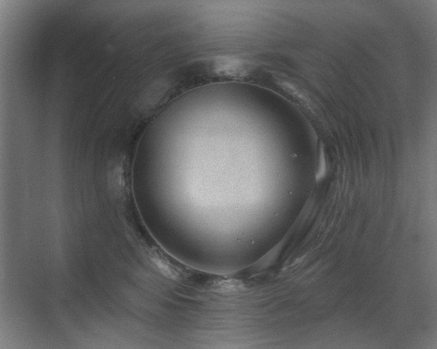 X0000071800424200606301206