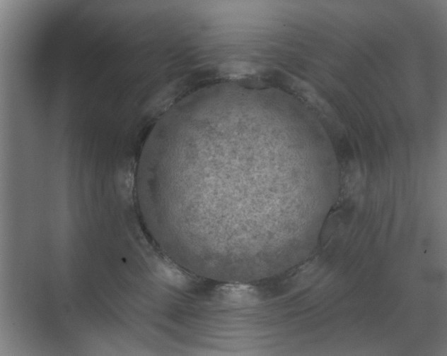 X0000071800427200606301206