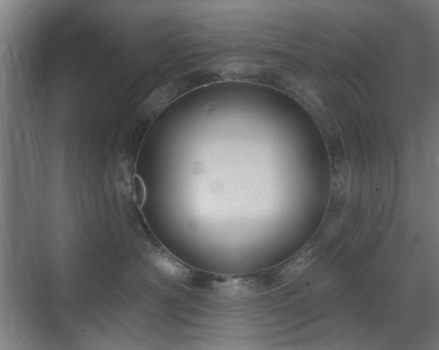 X0000071800430200606301206