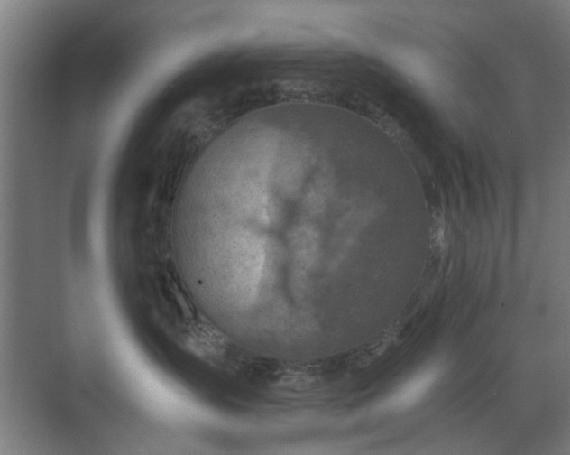 X0000071800431200606301206