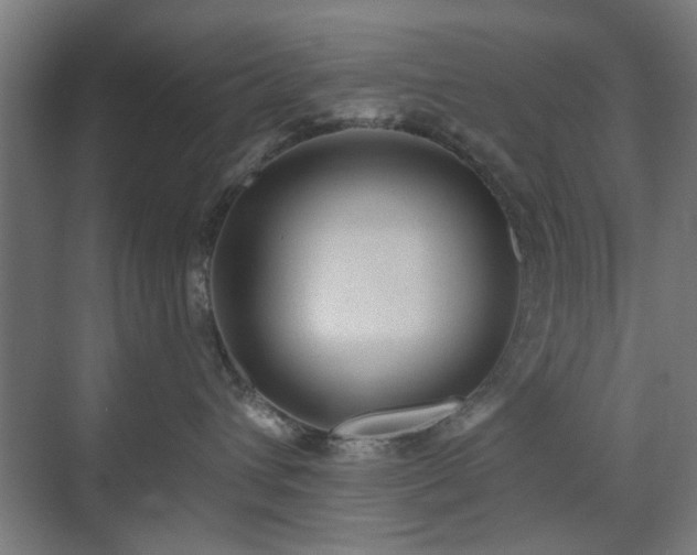 X0000071800432200606301206