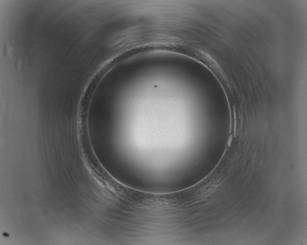 X0000071800435200606301205