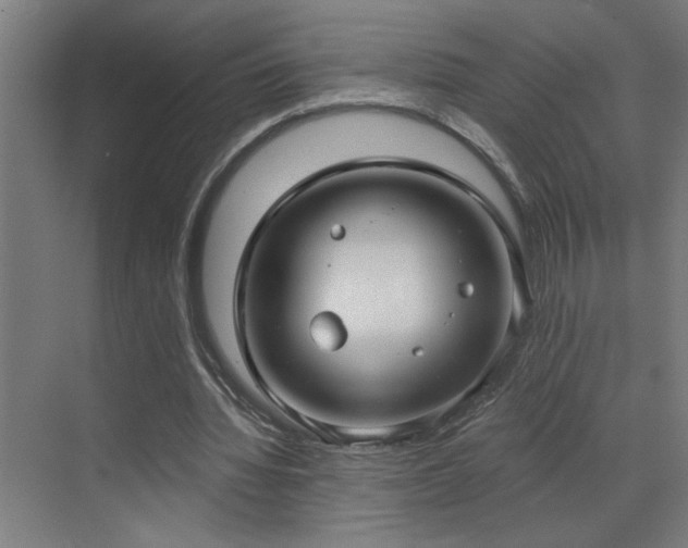 X0000071800436200606301205