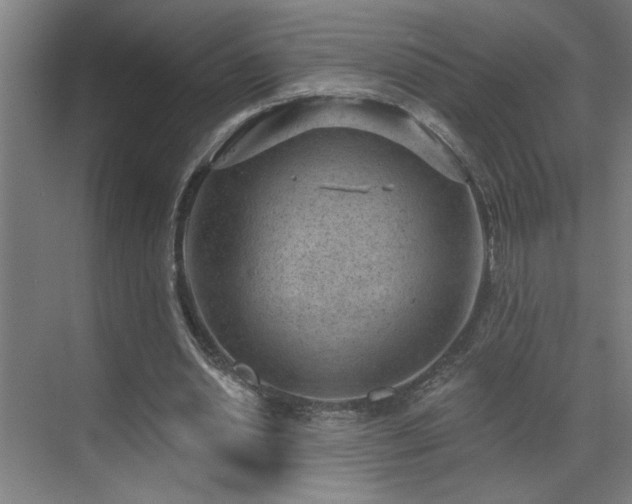 X0000071800438200606301205