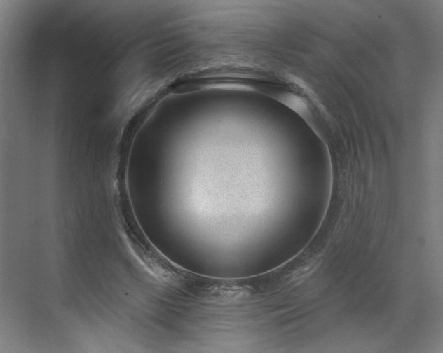 X0000071800443200606301205