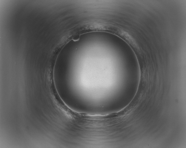 X0000071800449200606301205