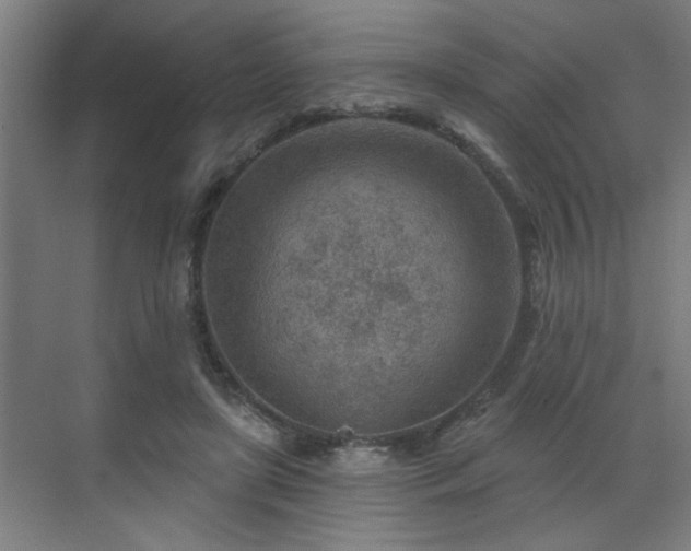 X0000071800451200606301205