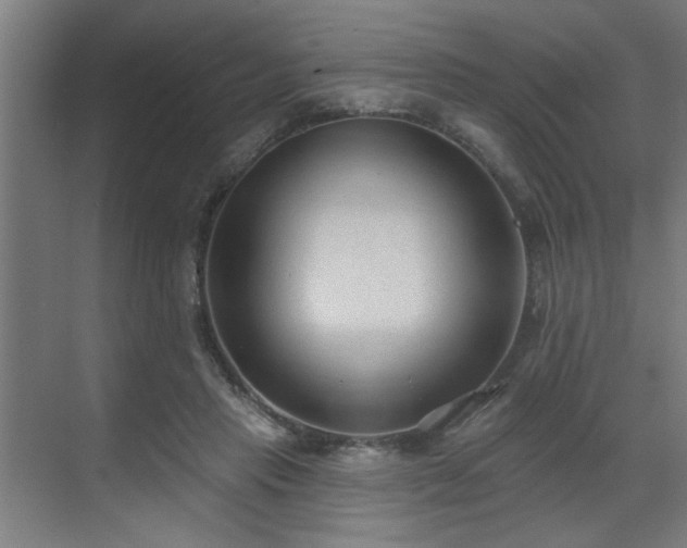 X0000071800453200606301205