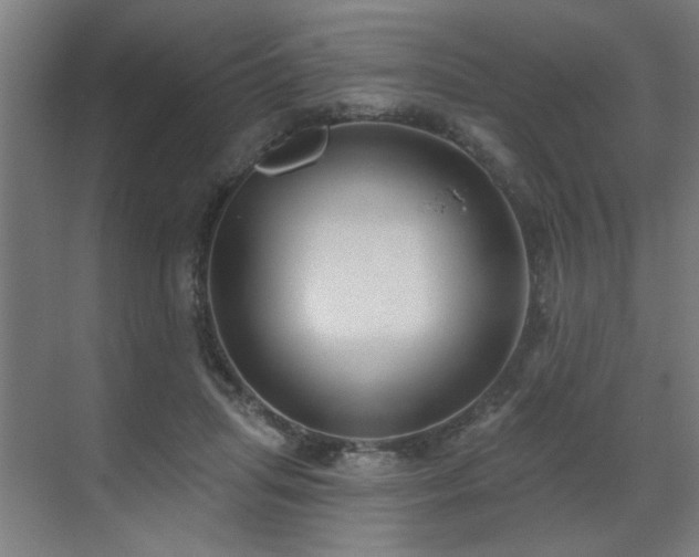 X0000071800455200606301205