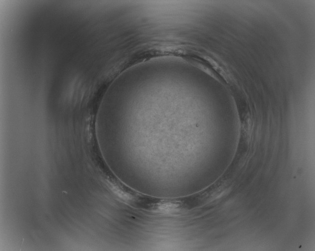 X0000071800462200606301205