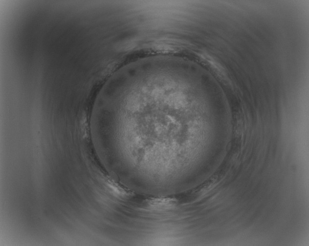 X0000071800465200606301205