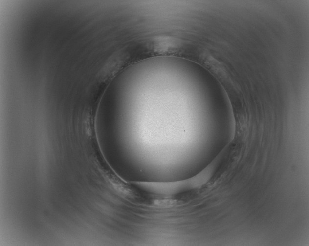 X0000071800470200606301206