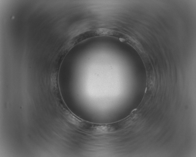 X0000071800473200606301206