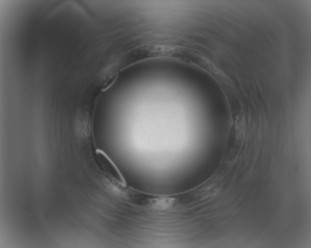 X0000071800474200606301206