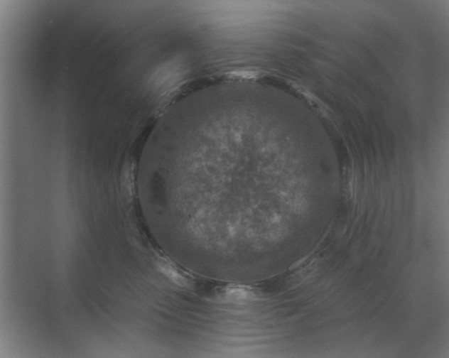 X0000071800475200606301206