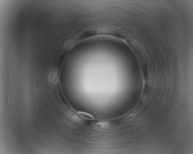 X0000071800478200606301206