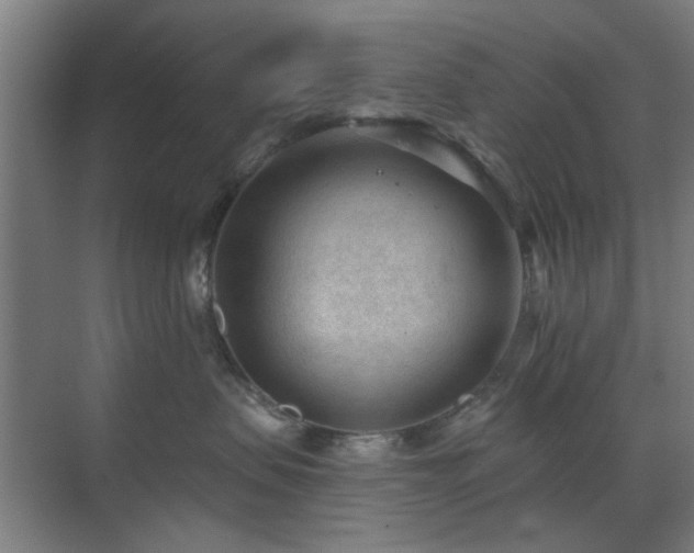 X0000071800479200606301206