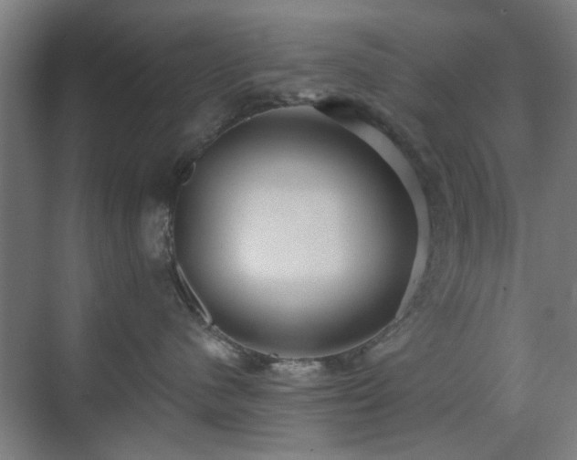 X0000071800480200606301206