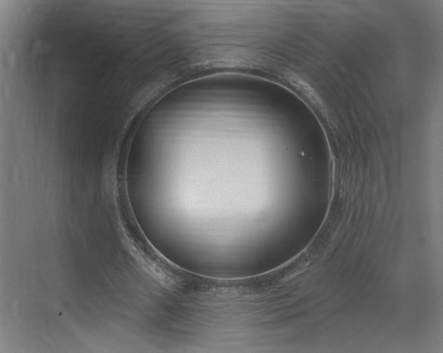 X0000071800482200606301205