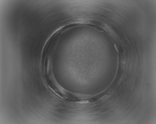 X0000071800484200606301205