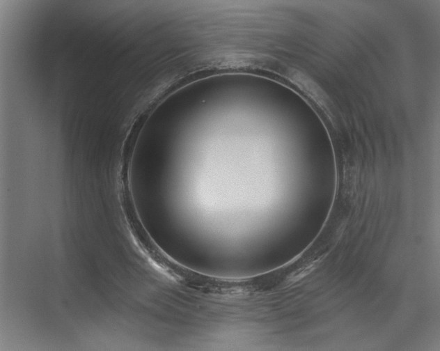 X0000071800485200606301205