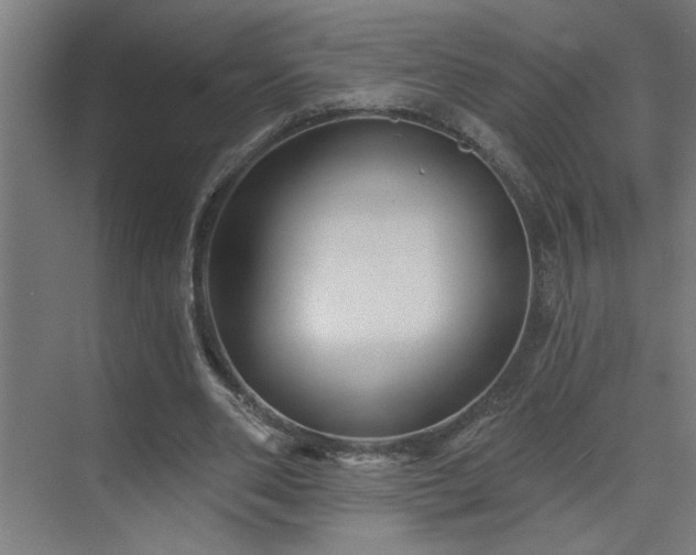 X0000071800486200606301205