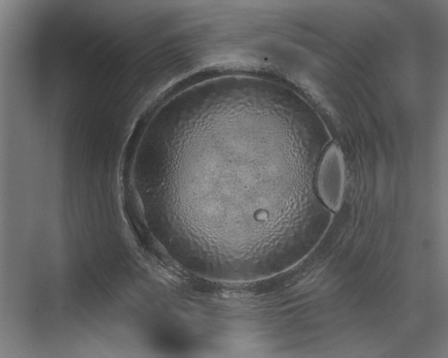 X0000071800487200606301205