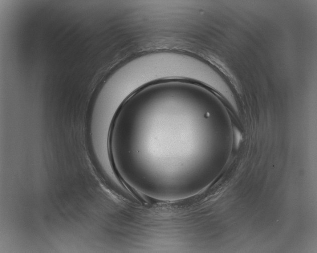 X0000071800489200606301205