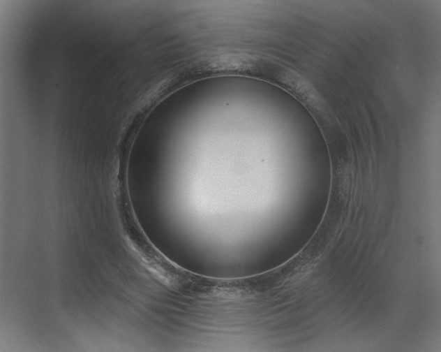 X0000071800490200606301205