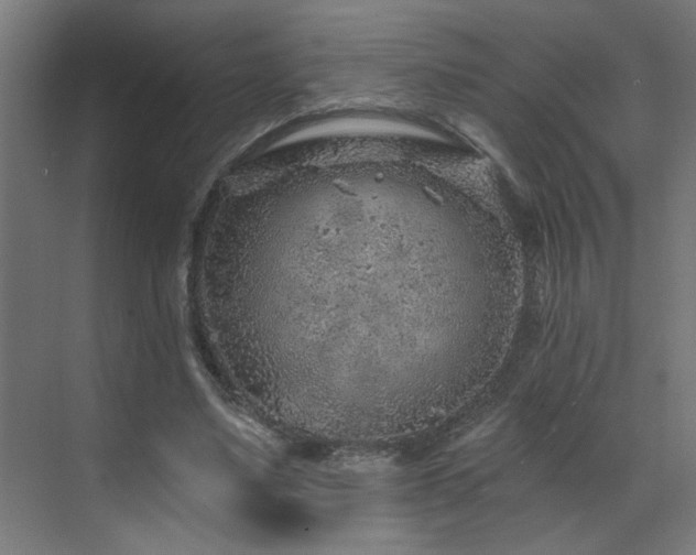 X0000071800491200606301205