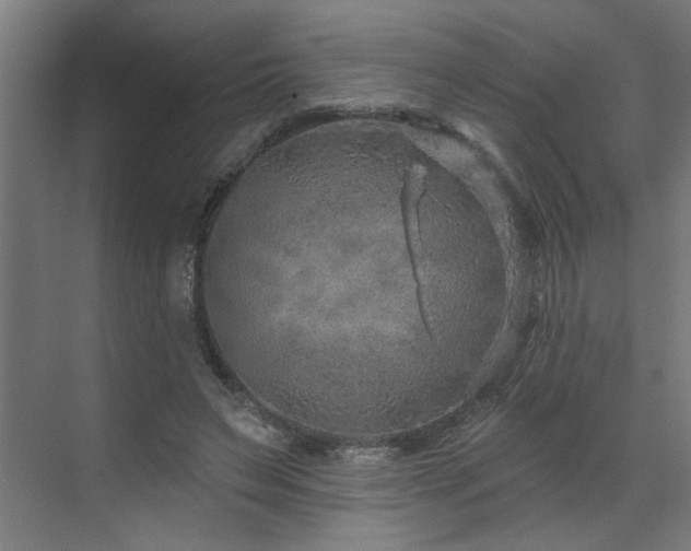 X0000071800495200606301205