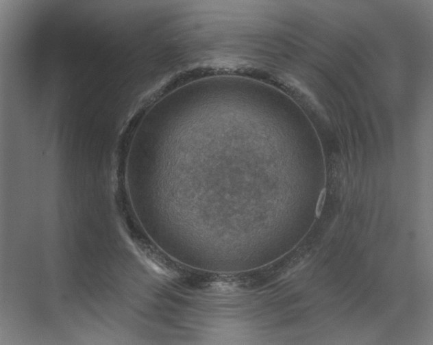 X0000071800496200606301205