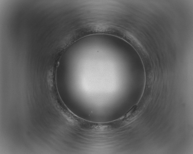 X0000071800497200606301205