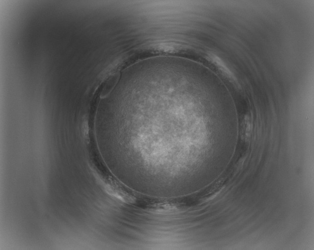 X0000071800500200606301205