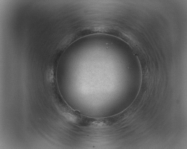 X0000071800502200606301205