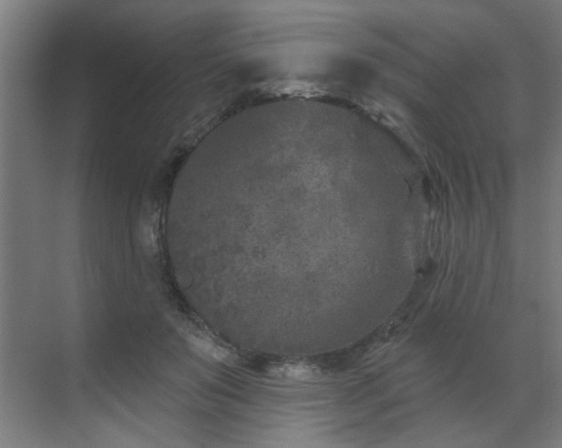 X0000071800503200606301205