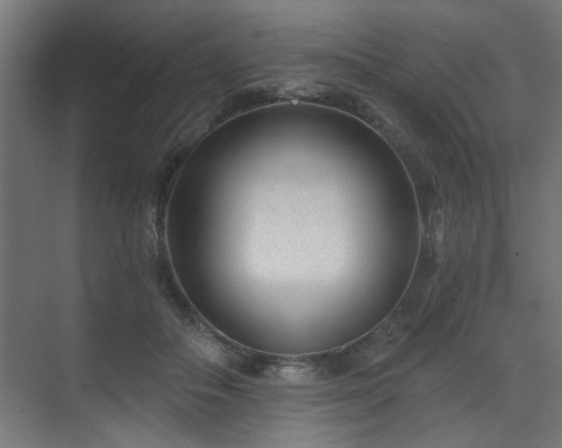 X0000071800506200606301204