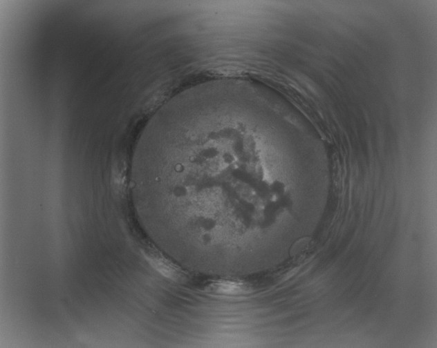 X0000071800507200606301204