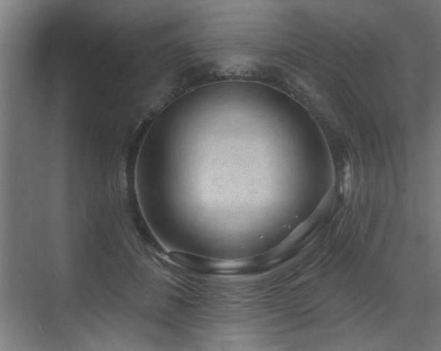 X0000071800508200606301204